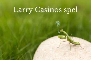 larry casinos spel