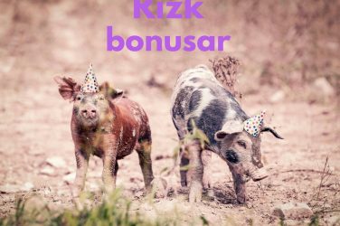 rizk bonusar